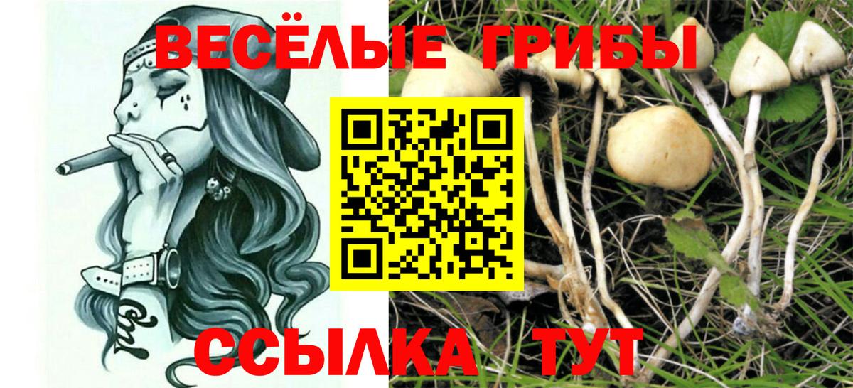 Галлюциногенные грибы MAGIC MUSHROOMS  Галлюциногенные грибы MAGIC MUSHROOMS  Дивногорск  Вход с VPN 